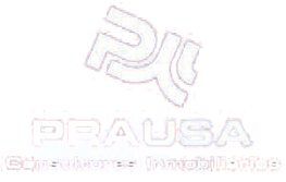 PRAUSA, S.L logo
